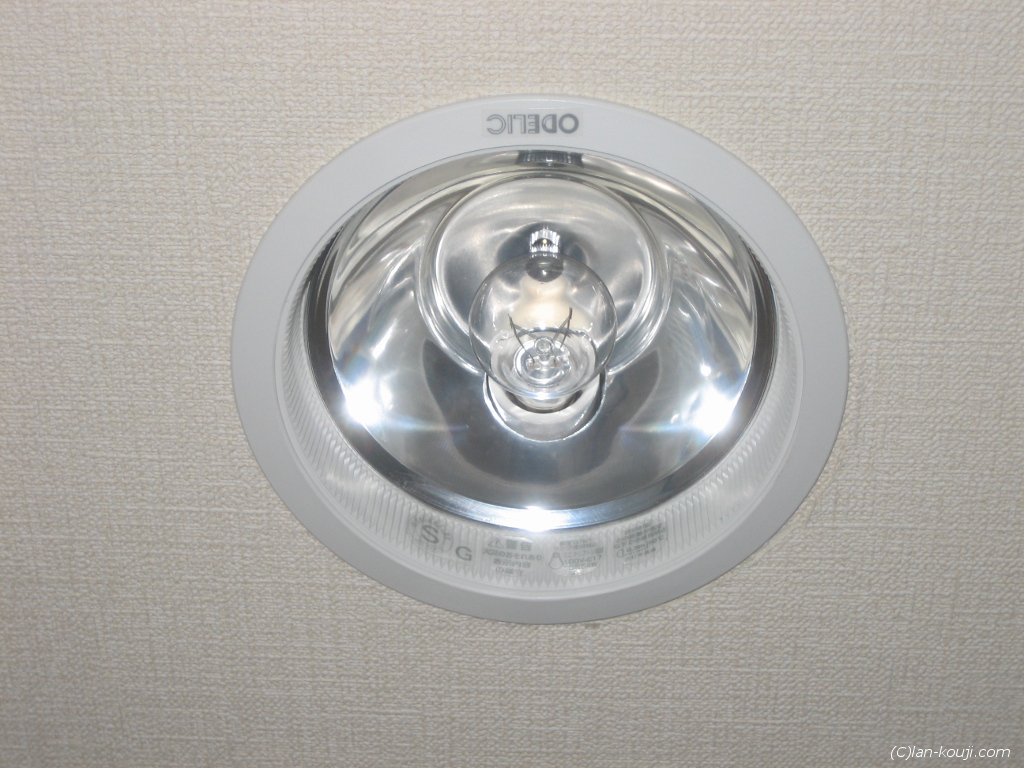 ダウンライト外観