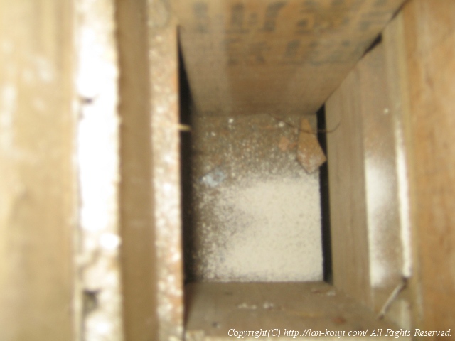 壁の中の様子